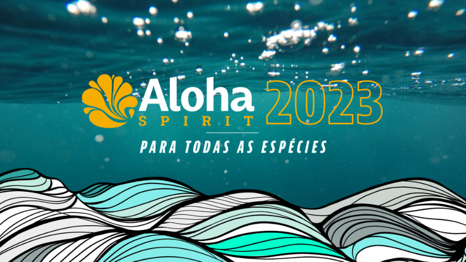 Leia mais sobre o artigo Ticket Sports e Aloha Spirit se unem para o maior festival de esportes aquáticos do planeta